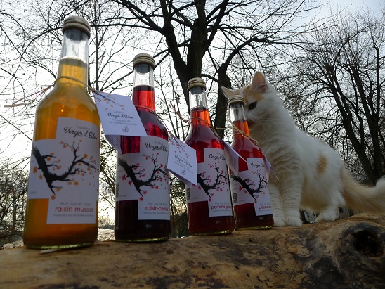 Jus de fruits naturels 100% Bio et Demeter
