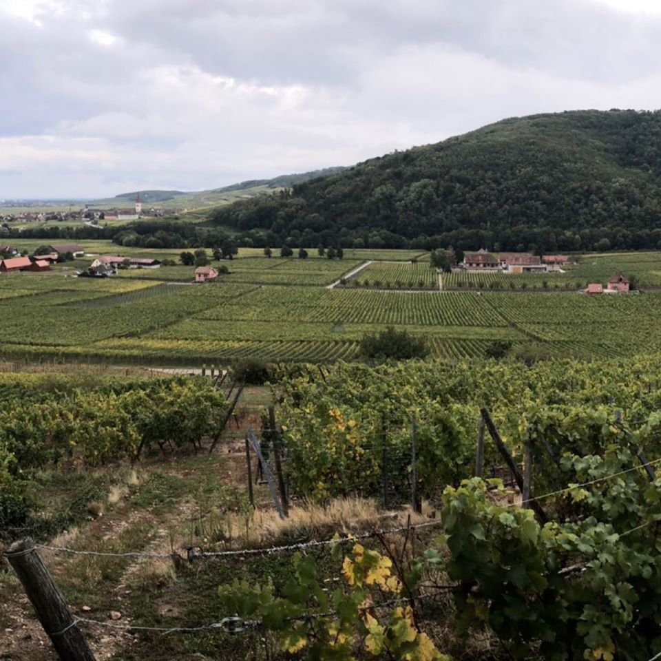 le domaine